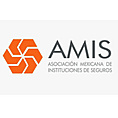 Asociacin Mexicana de Instituciones de Seguros (AMIS)